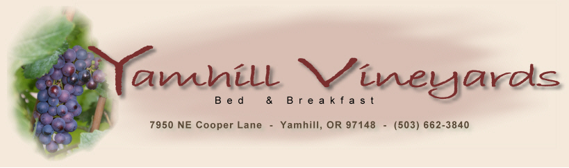 Yamhill Vineyards Bed & Breakfast