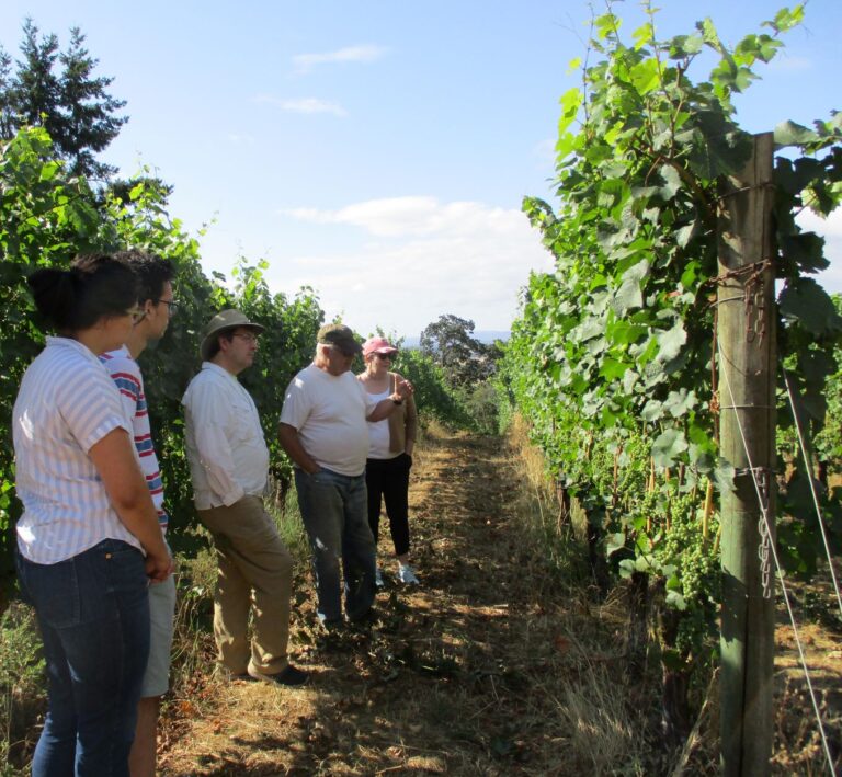Grape Grower Ralph teaching guests in his pinot noir vineyard