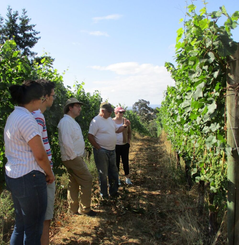 Grape Grower Ralph teaching guests in his pinot noir vineyard